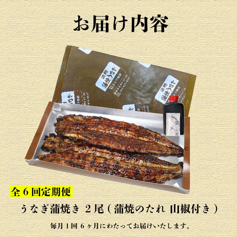 【全6回定期便】 うなぎ 蒲焼 大姿焼き 2尾 (140g×2) 定期便 鰻蒲焼 ウナギ かばやき 土用 丑の日 活鰻 自家製蒲焼 たれ 山椒 ギフト 贈答 冷蔵 まとめ買い 静岡県 藤枝 ふるさと人気