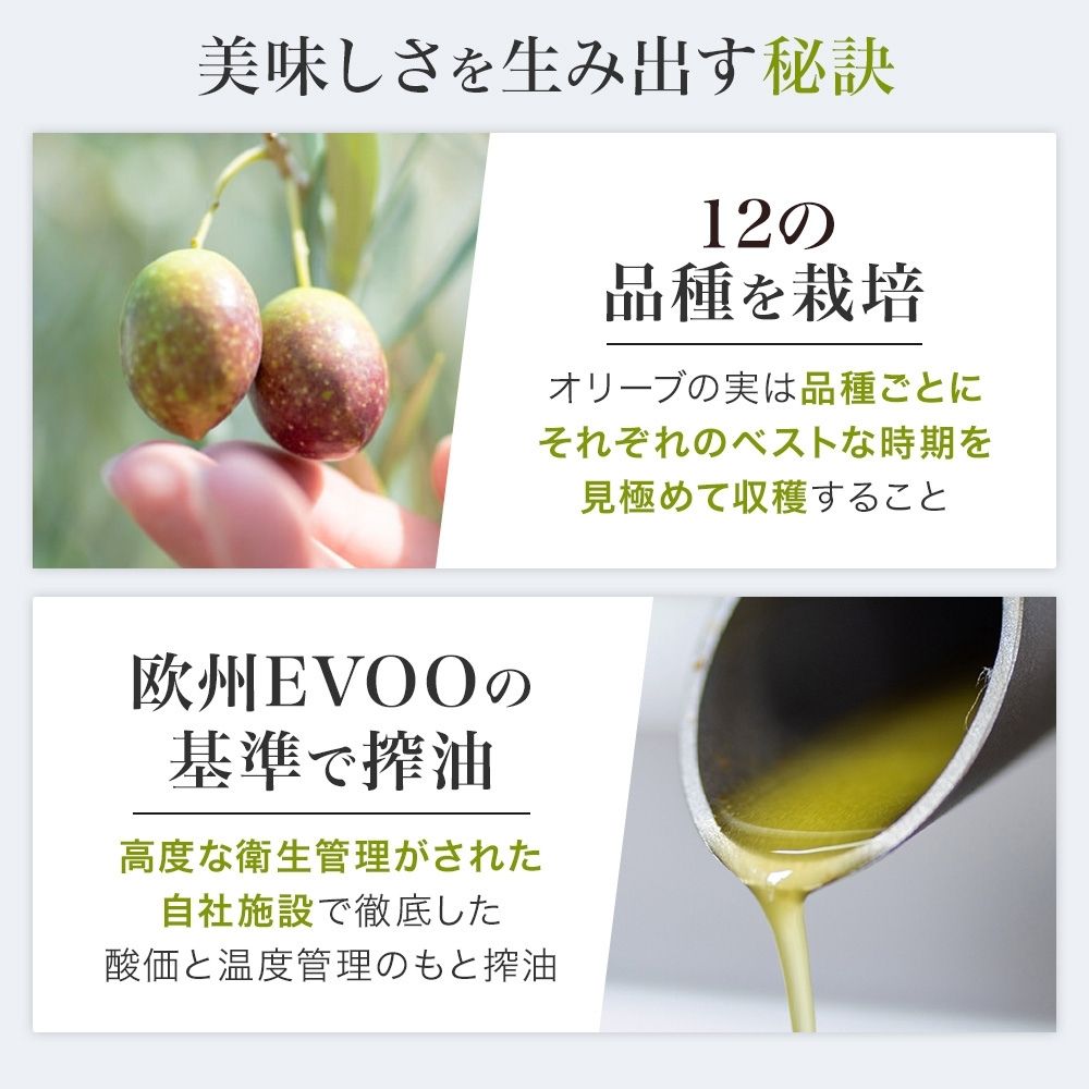 オリーブ セット EXオリーブオイル＆オリーブ新漬け 静岡の恵み 食用油 植物オイル 植物性 ソテー サラダ パスタ ドレッシング 調理 料理 おかず 静岡県 藤枝市 