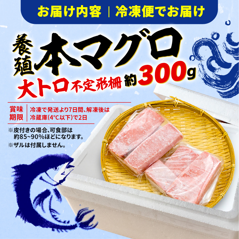 【オンライン決済限定】 【2024年12月配送】 訳あり 大とろ 本まぐろ 約300g 年内配送 不定型柵 本鮪 まぐろ 大トロ とろ 解凍 鮪 漬け マグロ ユッケ 海鮮 本マグロ