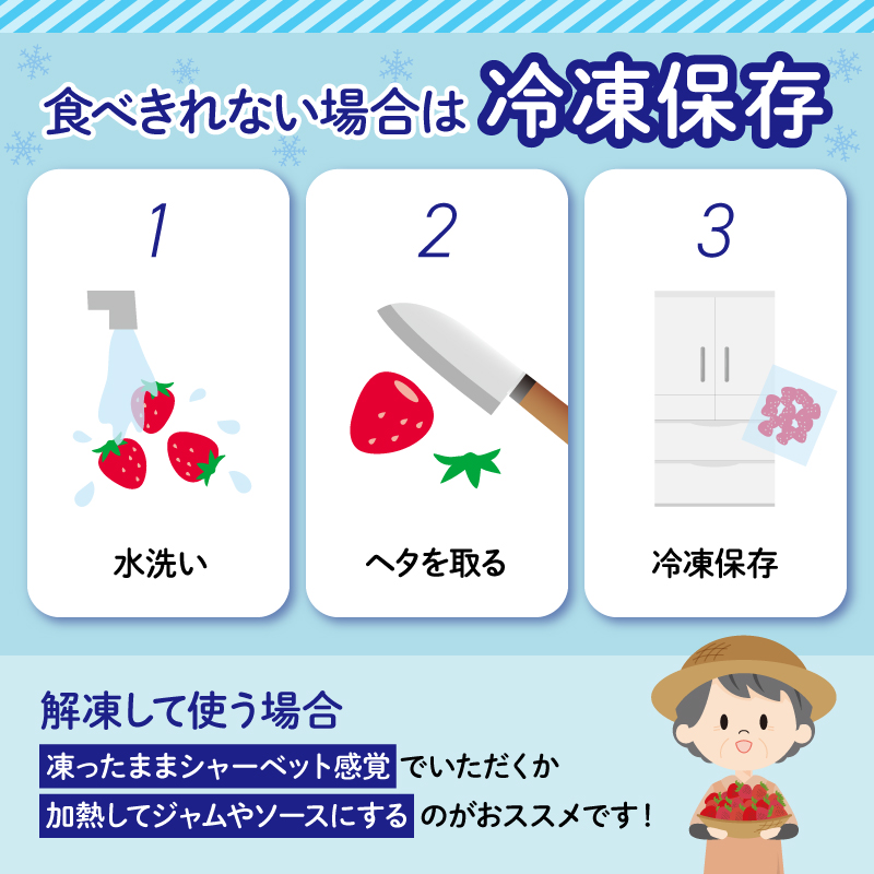 【先行予約 2025年1月より順次発送予定】 いちご 2種 2kg 以上 苺 旬 産地 直送 フレッシュ イチゴ 紅ほっぺ 章姫 きらぴ香 かおりの フルーツ 果物 国産 ジャパン ベリー 予定 静岡県 藤枝市