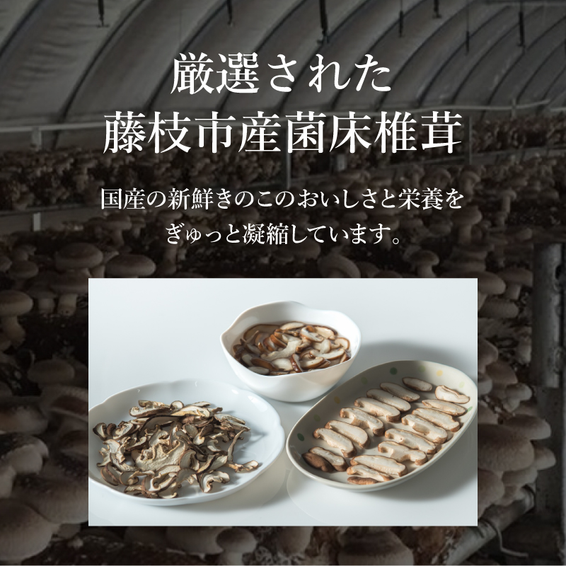 干し椎茸 国産 しいたけ スライス 200g きのこ 椎茸 乾燥椎茸 小分け キノコ 調理 簡単 便利 一万円 10000円 静岡県 藤枝市