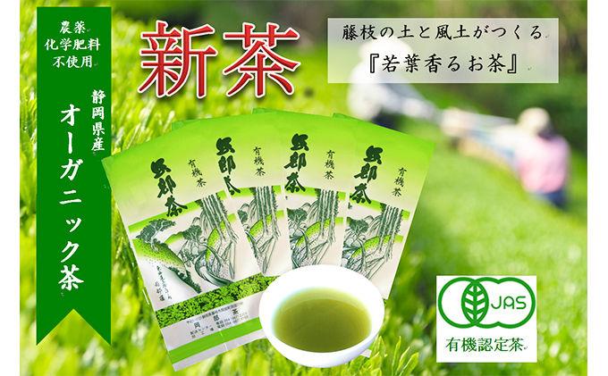 2024年度産 新茶 若葉の香りのオーガニック茶4本 発送：2024年5月22日〜順次