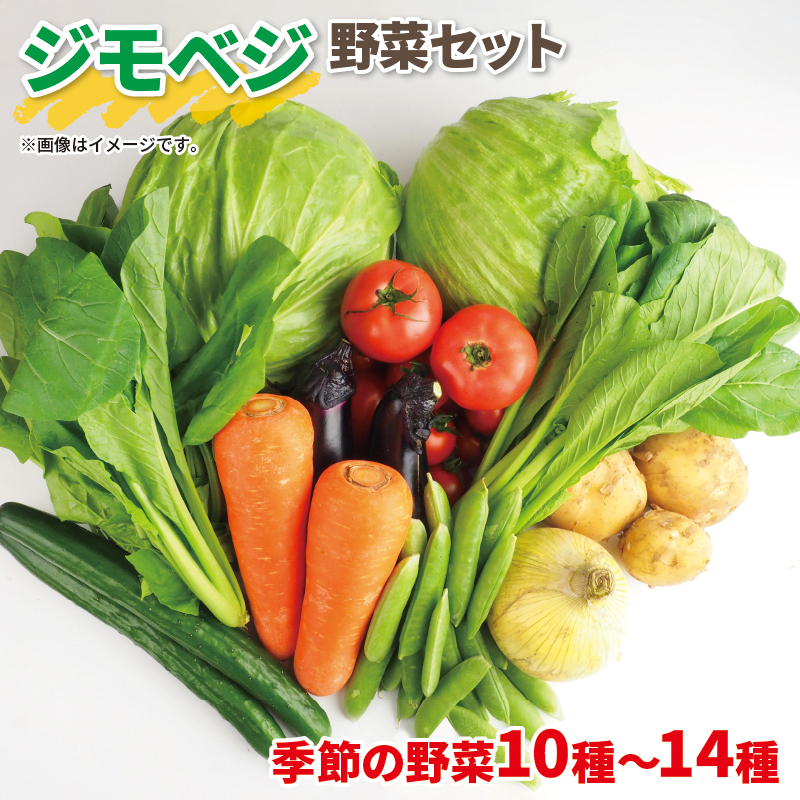 野菜 詰め合わせ 産地 直送 10~ 14種 減農薬 栽培 旬 採れたて やさい 家庭用 健康 食材 静岡県 藤枝市 