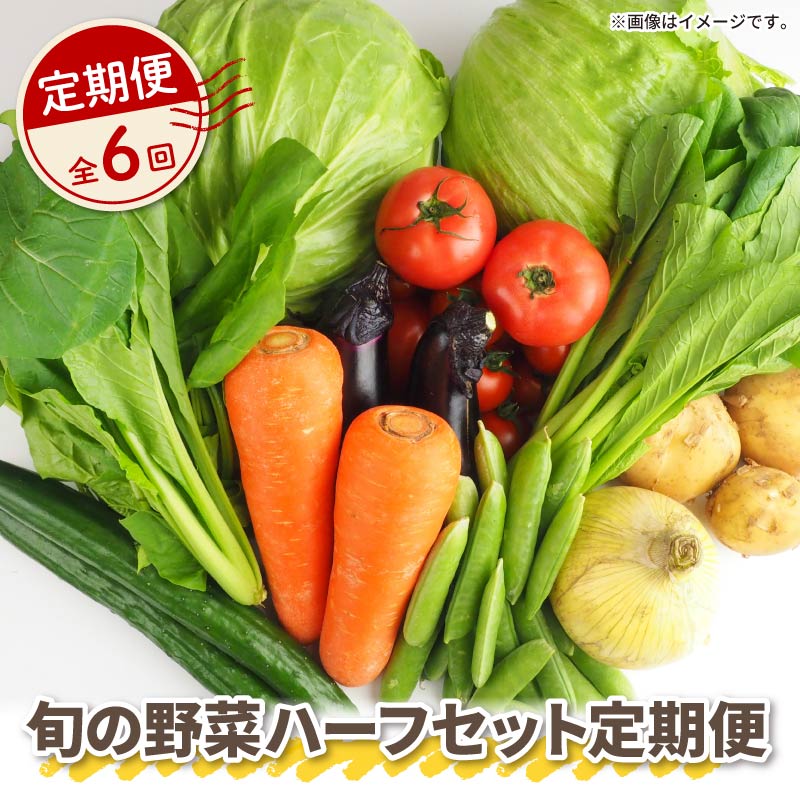 【 全6回定期便 】 野菜 詰め合わせ 産地 直送 6 ~ 8種 減農薬 栽培 旬 採れたて やさい お試し 一人暮らし ふたり暮らし 健康 食材 ハーフセット 静岡県 藤枝市 