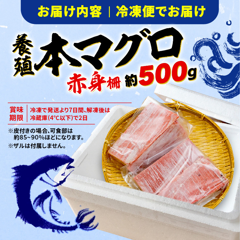 訳あり 本まぐろ 赤身 約500g 不定型柵 本鮪 まぐろ 赤身 解凍 鮪 漬け マグロ ユッケ 海鮮 本マグロ ふるさと人気  