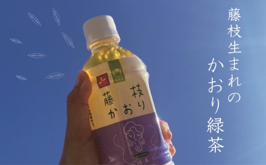 緑茶 藤枝かおり350ml×24本 2ケース （清涼飲料水）