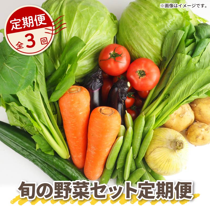 【 全3回定期便 】 野菜 詰め合わせ 産地 直送 10~ 14種 減農薬 栽培 旬 採れたて やさい 家庭用 健康 食材 静岡県 藤枝市 