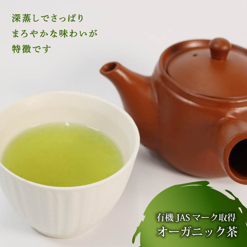 静岡県産　オーガニック茶100g5袋（ポスト投函） 岡部茶