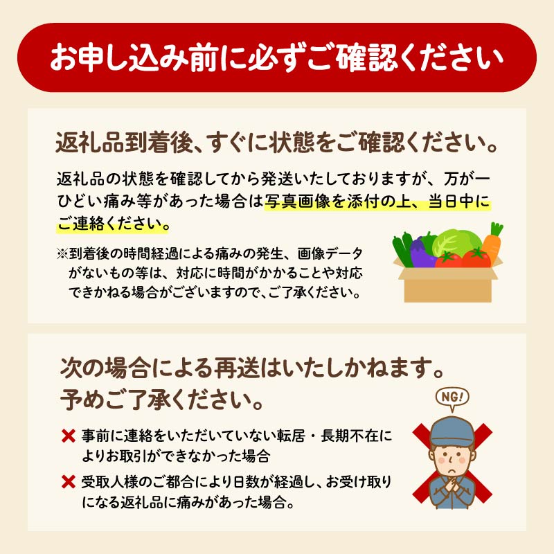 【 全3回定期便 】 野菜 詰め合わせ 産地 直送 6 ~ 8種 減農薬 栽培 旬 採れたて やさい お試し 一人暮らし ふたり暮らし 健康 食材 ハーフセット 静岡県 藤枝市 