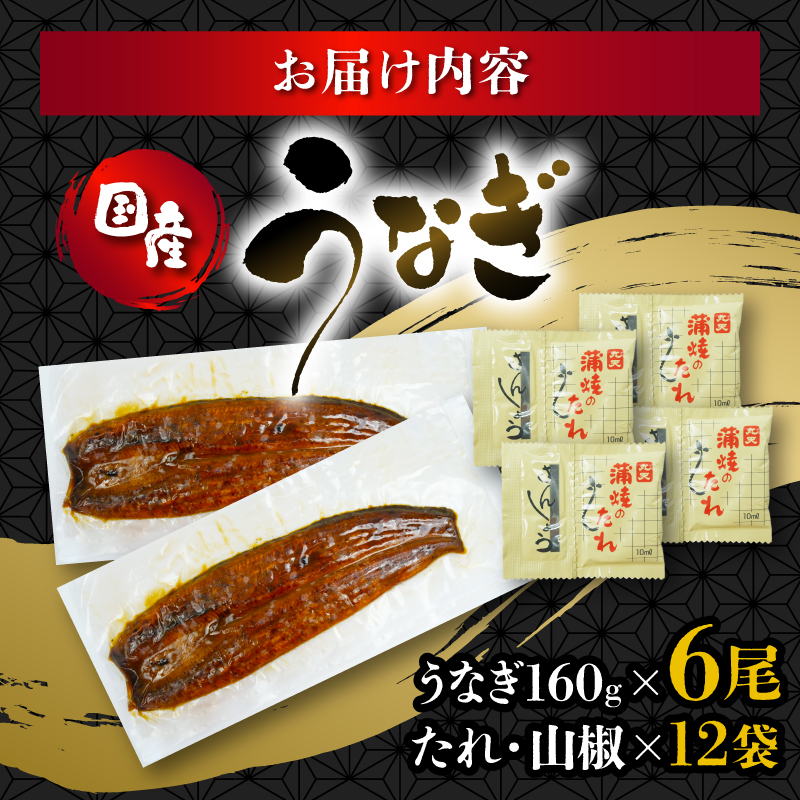 うなぎ 国産 蒲焼 160g × 6尾 計960g 鰻蒲焼 ウナギ 土用 丑の日 JAS認定 活鰻 自家製蒲焼のたれ 山椒 ギフト 贈答 冷凍 養殖 真空パック レンジ 調理 湯煎 まとめ買い 静岡県 藤枝