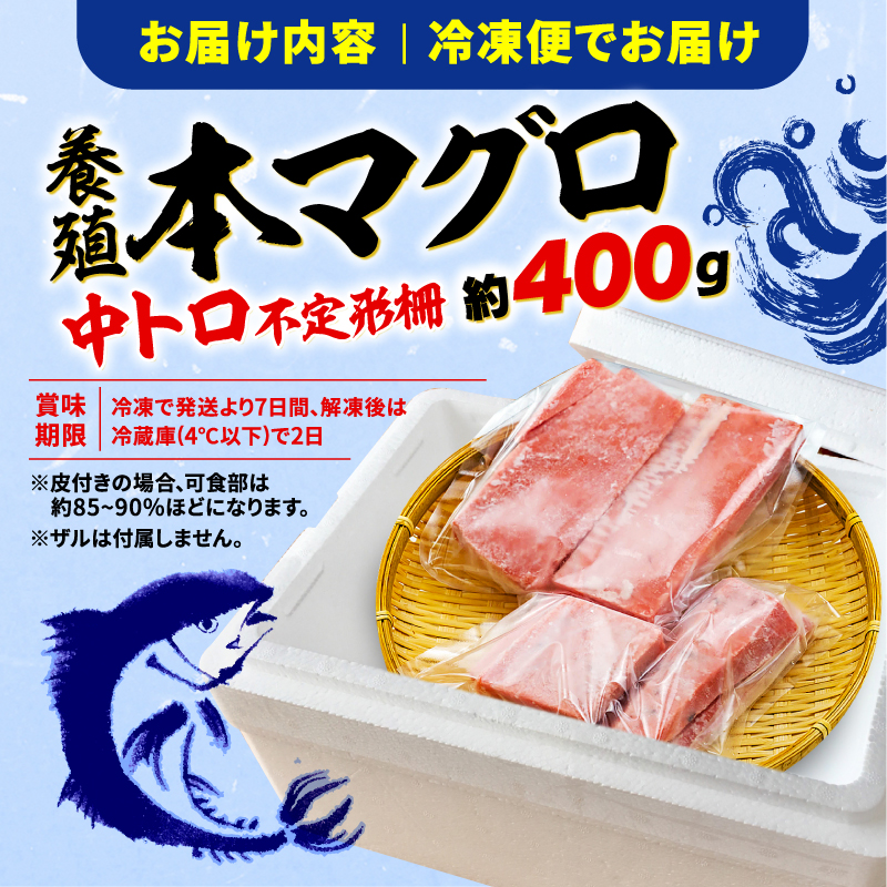 【オンライン決済限定】 【2024年12月発送】 訳あり 本まぐろ 中とろ 刺身用 約400g 年内配送 不定型柵 本鮪 まぐろ 中トロ 解凍 鮪 漬け マグロ ユッケ 海鮮 本マグロ