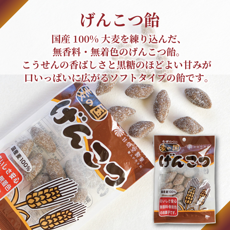 飴 げんこつ飴 10袋 あめ アメ おかし お菓子 おやつ 静岡県 藤枝市 甘信堂製菓