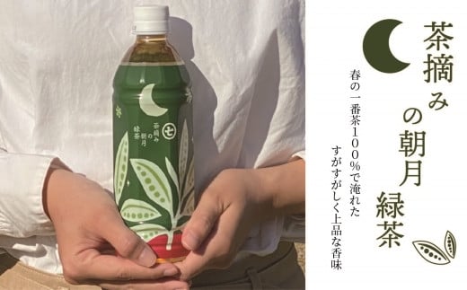 お茶 ペットボトル 500ml 24本 緑茶 一番茶 静岡茶 茶葉 人気 箱 朝摘み 朝月 常備 保存 備蓄 防災 まとめ買い 丸七製茶 ななや 静岡県 藤枝市 ふるさと人気 