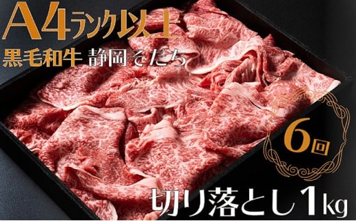 【定期便】全6回 牛肉 1kg 切り落とし すき焼き用 厳選 肉 国産 和牛 静岡そだち お肉 すき焼き 焼き肉 しゃぶしゃぶ BBQ