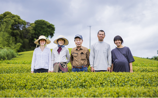 有機煎茶やぶきたみどり 100g×3袋