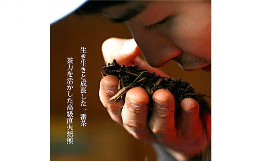 【完全有機栽培】2種類の粉末茶スティック25本セット（有機JAS）