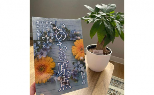 観葉植物鉢植えとamazonベストセラー 著作本「いのちの原点」のセット（読者特典動画視聴サービス付）