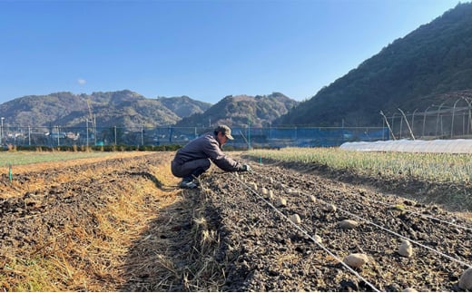 一棟貸し農家民宿 椿邸1泊（4人まで）と野菜農家体験（お土産付き）