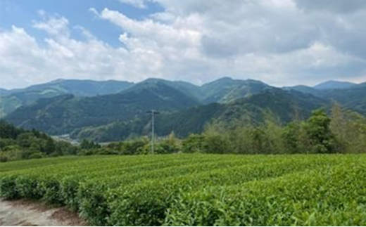 一棟貸し農家民宿 椿邸 宿泊（1泊4名様まで）