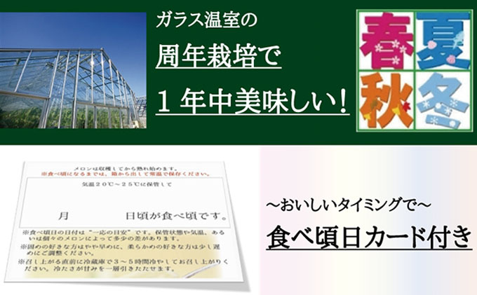 数量限定！『クラウンメロン 山等級 ”極みメロン” 2玉』 【桐箱入】 人気 厳選 ギフト 贈り物 デザート グルメ 果物 袋井市