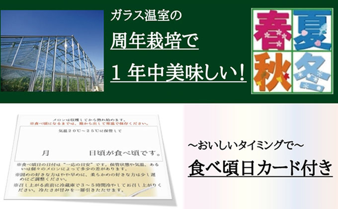 クラウンメロン（山等級）”極みメロン”　2玉入　ギフト箱入り