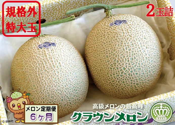 【6ヶ月定期便】クラウンメロン　規格外特大玉（約1.7kg）2玉入