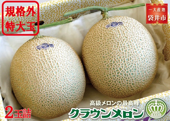 クラウンメロン　規格外特大玉（約1.7Kg～）2玉入　