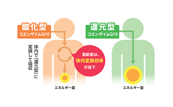 ＜機能性表示食品＞DHC コエンザイムQ10還元型 30日分