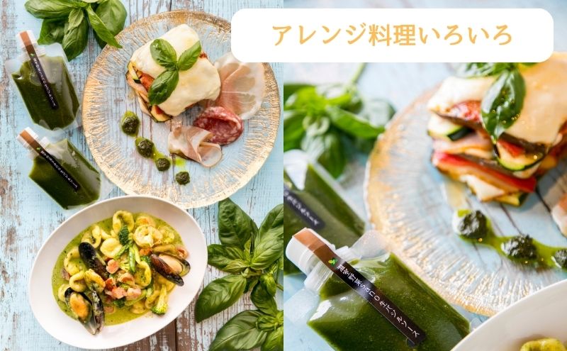 温室野菜 sano 生バジルソース３本セット