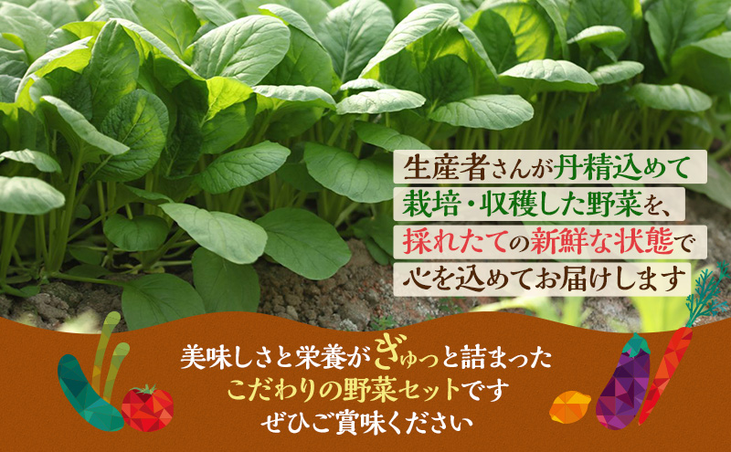 とれたて 野菜 パック  季節の野菜 セット 詰め合わせ 10品前後 野菜セット 野菜詰め合わせ ジャガイモ 人参 大根 小松菜 白ネギ グリ−ンリ−フ チンゲン菜 椎茸 トマト 水菜 葉ネギ 人気 厳選 静岡県