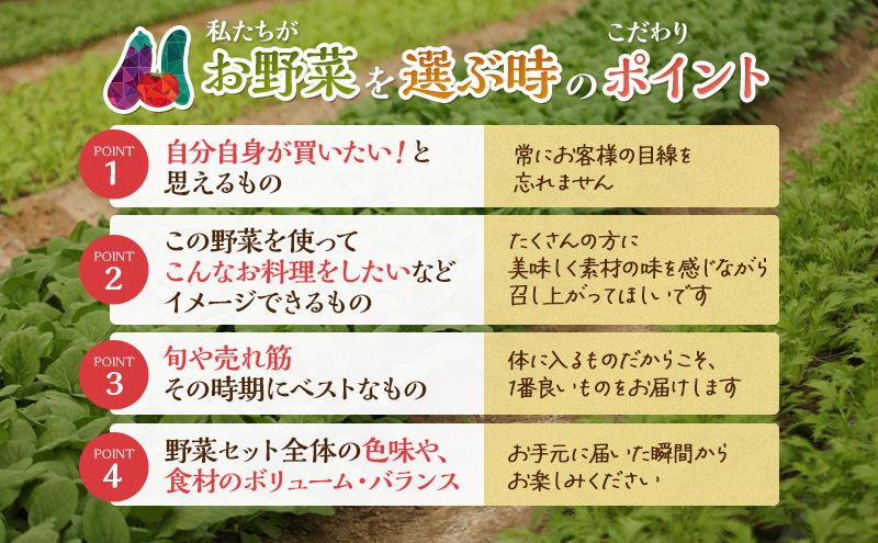 とれたて 野菜 パック 定期便 6回 季節の野菜 セット 詰め合わせ 10品前後 野菜セット 野菜詰め合わせ 6ヶ月 ジャガイモ 人参 大根 小松菜 白ネギ グリ−ンリ−フ チンゲン菜 椎茸 トマト 水菜 葉ネギ 人気 厳選 静岡県