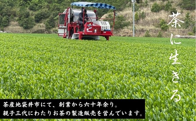 金福茶詰合せ(1)（50ｇ×3袋） 深蒸し 八十八夜 おすすめ 銘茶 ギフト 贈り物 人気 厳選 袋井市