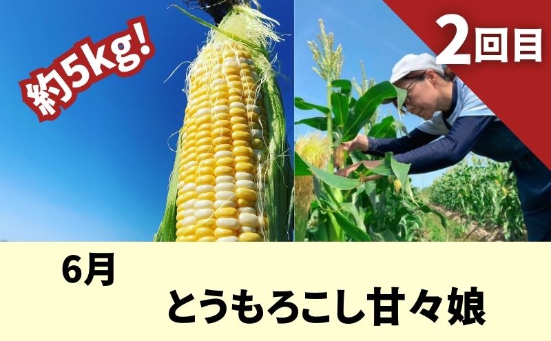 季節でお届け★定期便★袋井スペシャルセット メロン とうもろこし コシヒカリ 焼き菓子