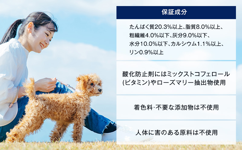 定番！ ビタワン 6.5kg  日本ペットフード ドッグフード 愛犬 犬 ペット 健康 