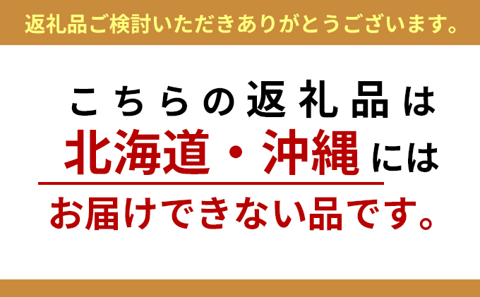 【定期便3ヵ月】大塚製薬　ボディメンテ　ドリンク　500ml×24本