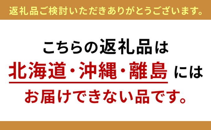 WORKSTUDIO 書棚  バルバーニ DD-B602NL 国産 家具 木製 収納 棚 勉強 書斎 絵本棚 シンプル デザイン 静岡 袋井市