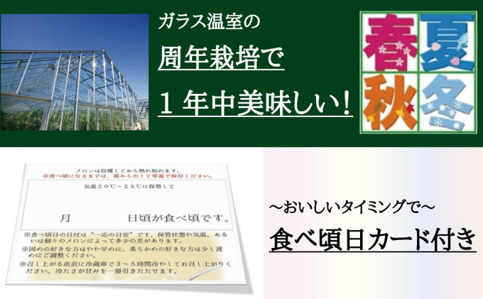 【12ヶ月定期便】クラウンメロン”極メロン”１玉　【桐箱入り】 メロン 人気 厳選 ギフト 贈り物 デザート グルメ フルーツ 果物 袋井市