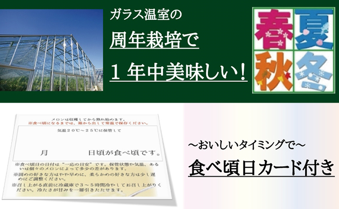 数量限定！『クラウンメロン ”名人メロン” 1玉 定期便6ヶ月』 【桐箱入】 メロン 人気 厳選 ギフト 贈り物 デザート グルメ フルーツ 果物 袋井市