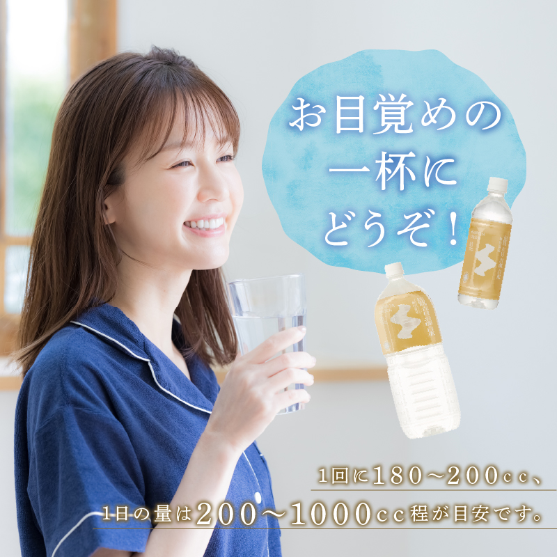 飲む温泉　観音温泉　500ml　(24本入)　１ケース　定期便　（６ヶ月で３回）