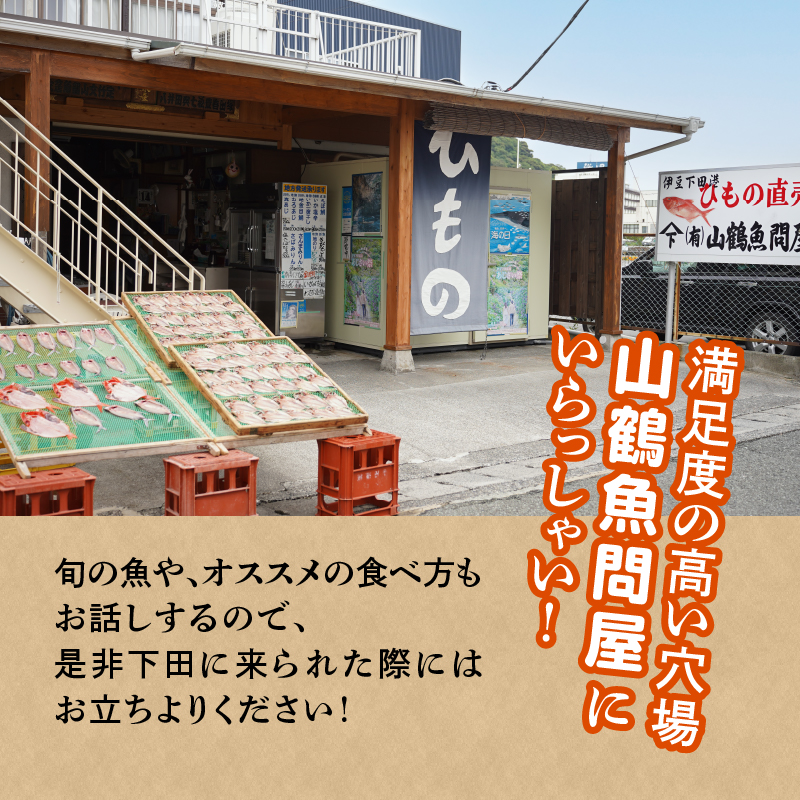 山鶴魚問屋 ひものBセット(2種類)