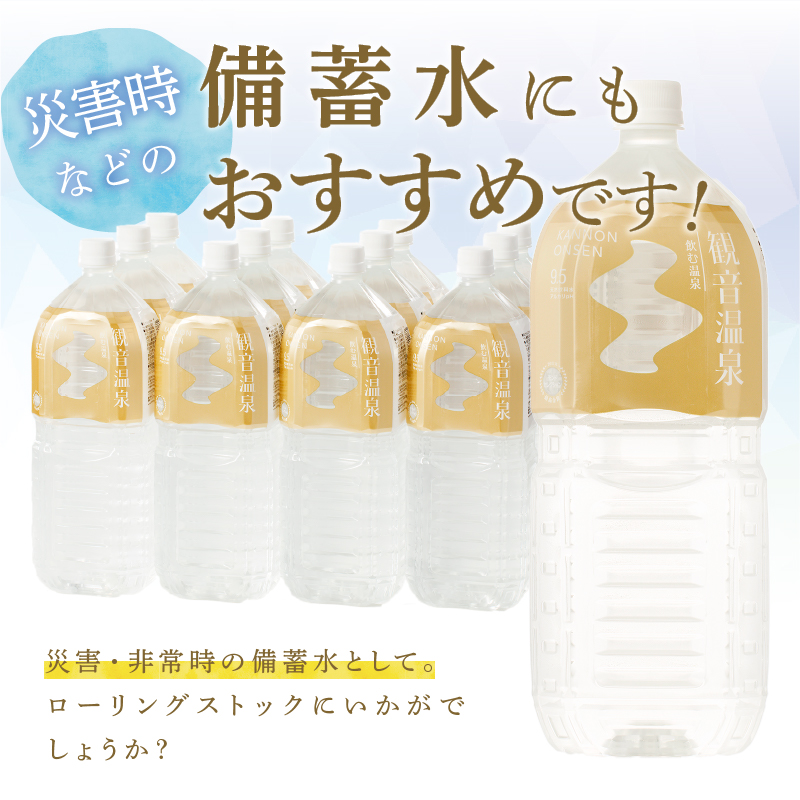 飲む温泉　観音温泉　２L　(６本入)　２ケース　定期便　１年間　毎月