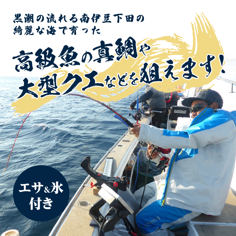 ＜神子元島＞　船でのコマセ釣り夢の大物釣り半日体験
