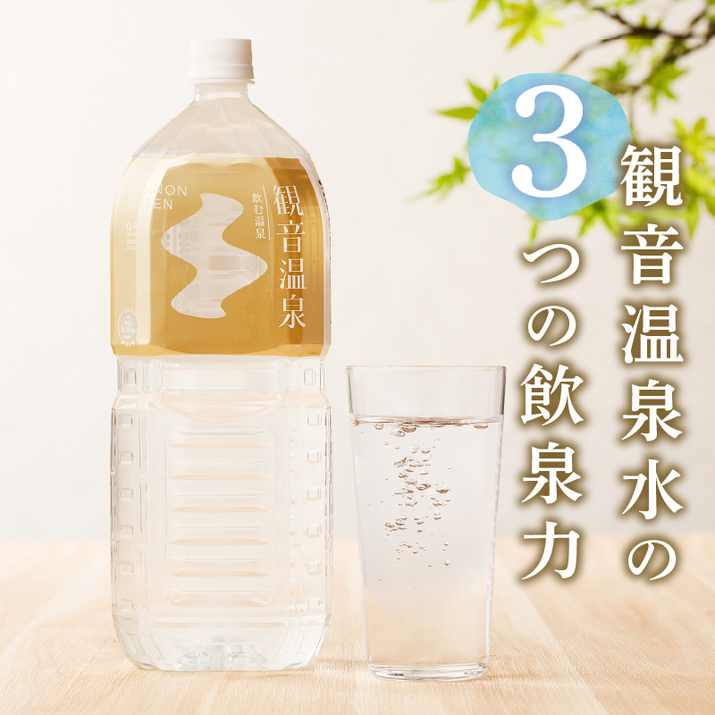 飲む温泉　観音温泉　２L　(６本入)　２ケース　定期便　１年間　毎月