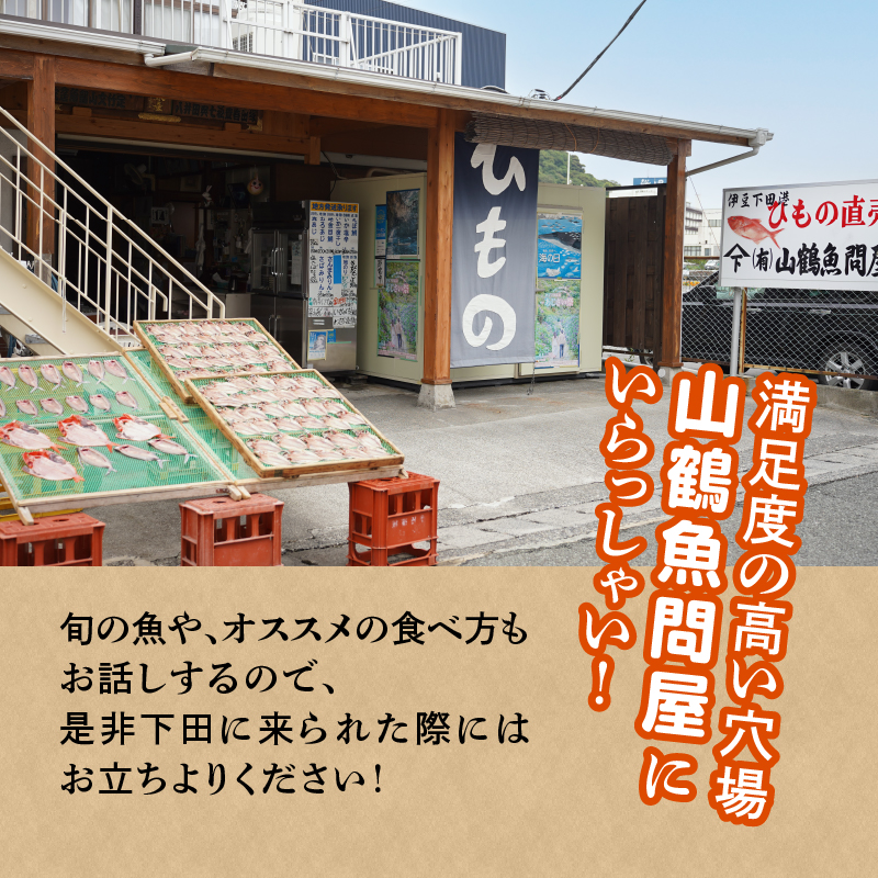 山鶴魚問屋ひものJセット(6種類・地のり)
