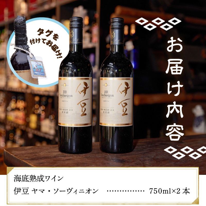 海底熟成伊豆ヤマ・ソーヴィニオン（750ml×2本）