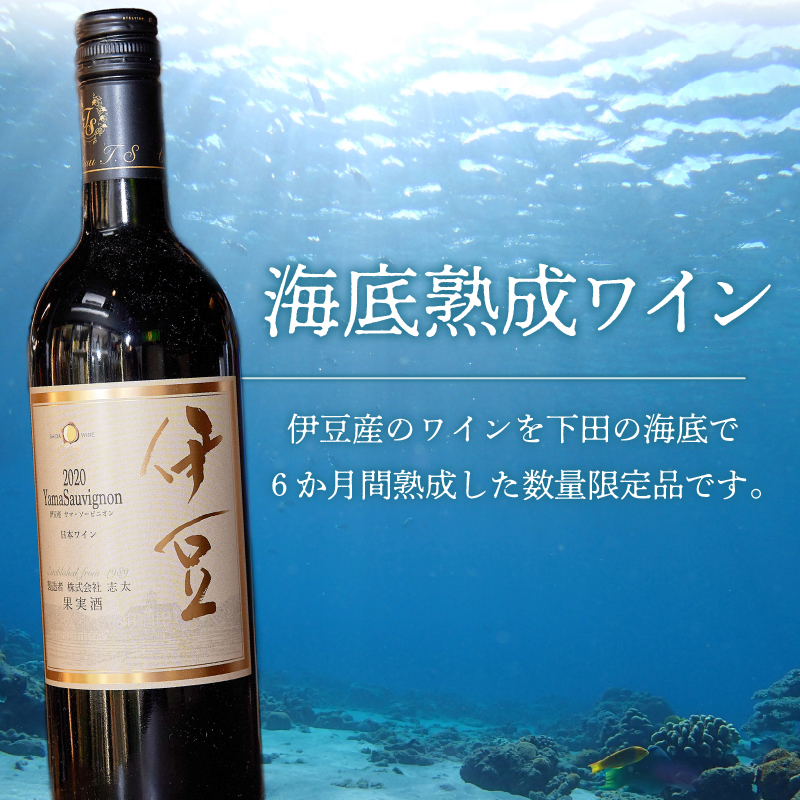 海底熟成伊豆ヤマ・ソーヴィニオン（750ml×2本）