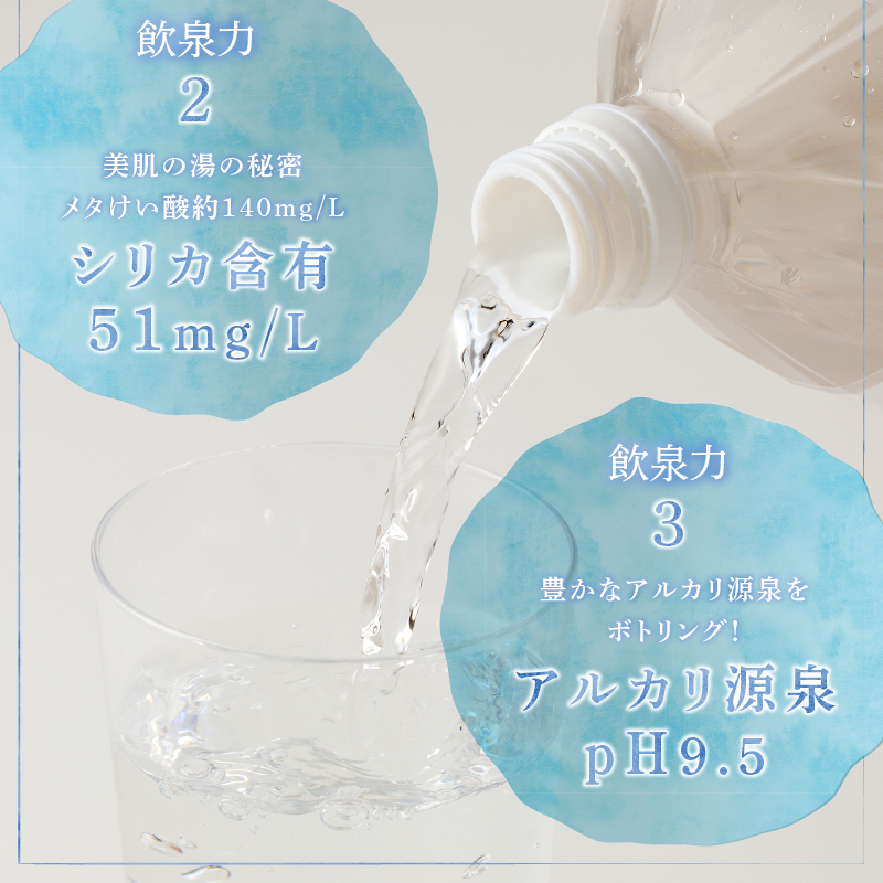 飲む温泉　観音温泉　２L　(６本入)　２ケース　定期便　１年間　毎月