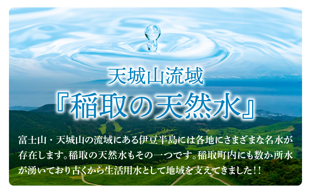 稲取の天然水　ラベルレスボトル　4箱　2L　24本　A033／ゐ一　イオン　シリカ　静岡県　東伊豆町