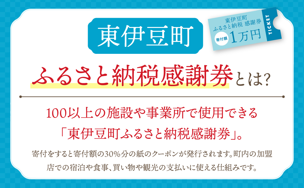 東伊豆町 ふるさと納税 感謝券 3000円 1066 ／ 静岡県 旅行 宿泊 食事 観光 チケット クーポン 補助 リフォーム ホテル 動物園 海鮮 みかん 金目鯛 稲取 熱川 ギフト 土産