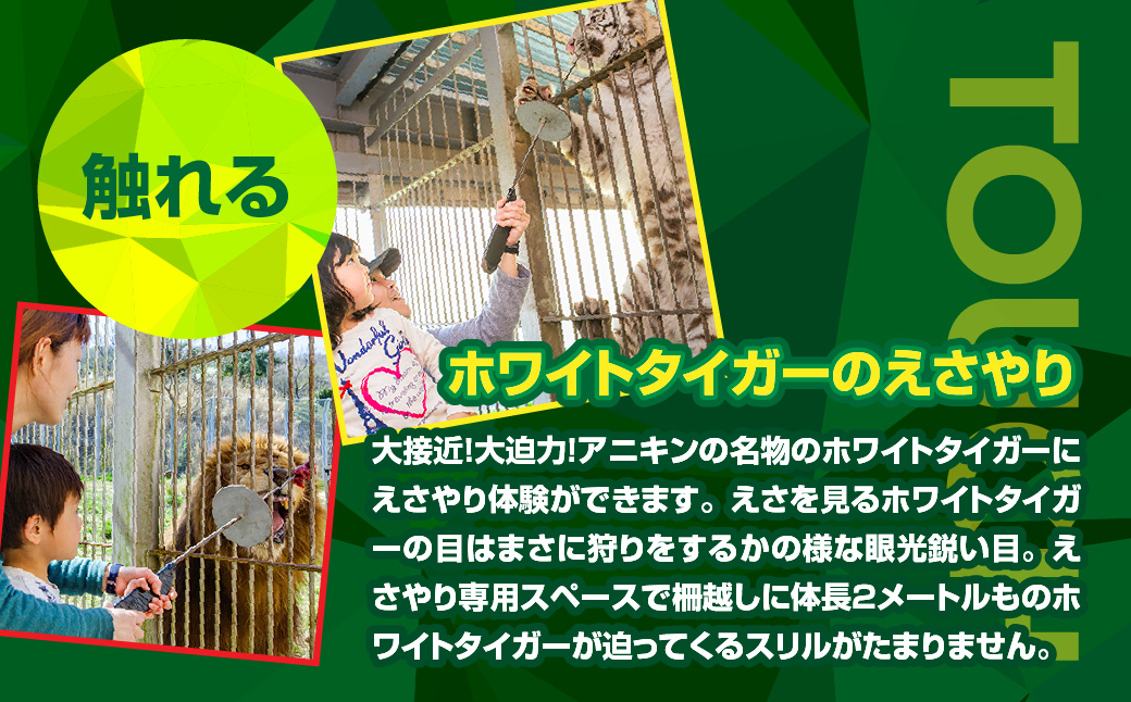 伊豆アニマルキングダム 入園券 2枚 A003 ／ 動物園 チケット 招待券 静岡県 東伊豆町